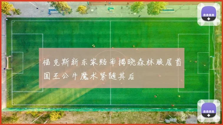 福克斯新东家赔率揭晓森林狼居首国王公牛魔术紧随其后