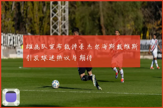 雄鹿队宣布裁掉奈杰尔海斯戴维斯引发球迷热议与期待