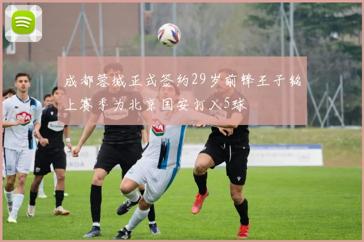 成都蓉城正式签约29岁前锋王子铭上赛季为北京国安打入5球